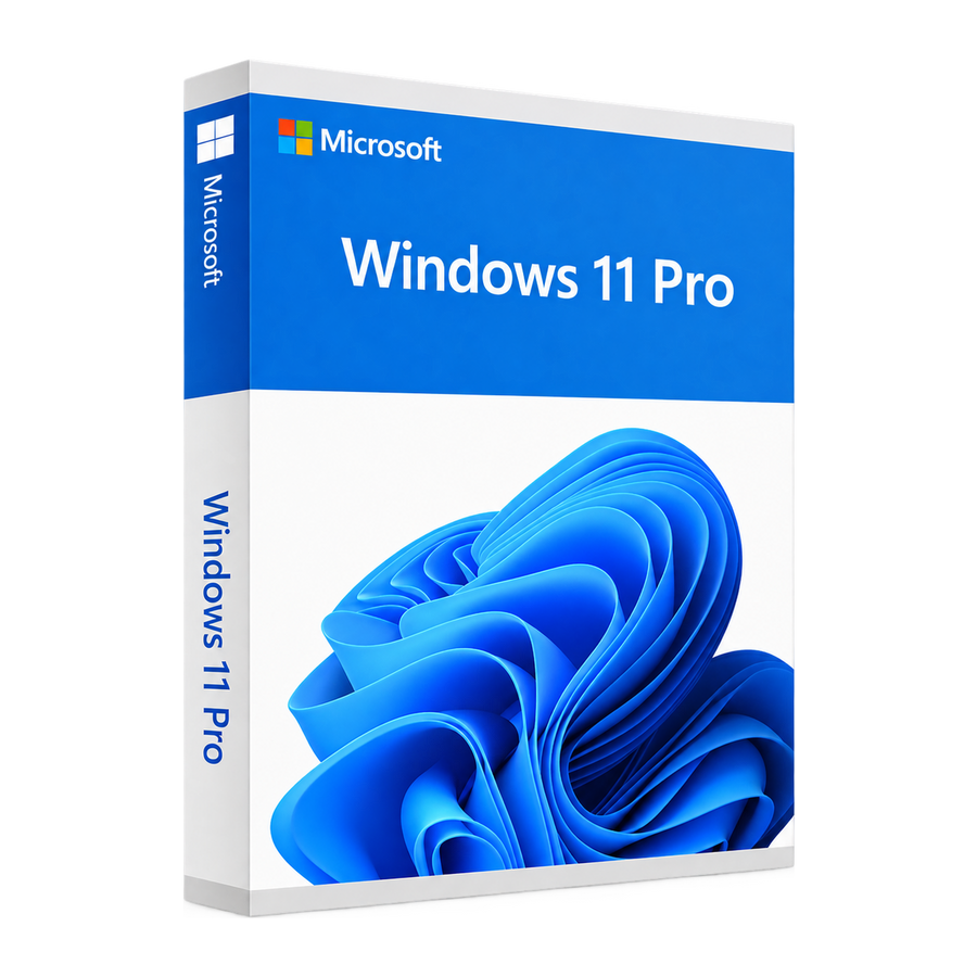 Windows 11 Pro box, showing the Microsoft logo and the blue Windows 11 bloom artwork.